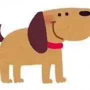 reoの画像
