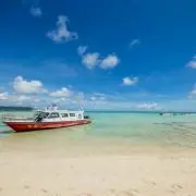 mi☆の画像