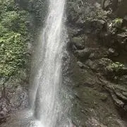 ぴいたんの画像