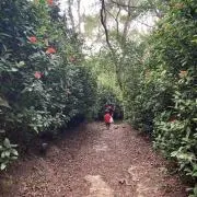 満点君の妻