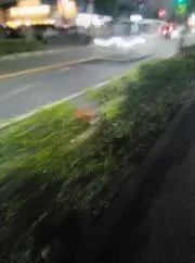こうすけ