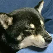 くうの母