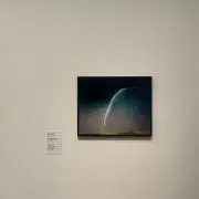 ぶりの画像
