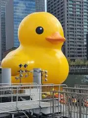 miluの画像
