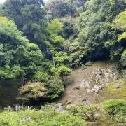 MRの画像