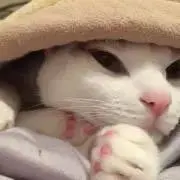 まきりん　13日〜20日発送不可の画像