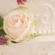 mana プロフ必読の画像