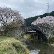 ルドルフの画像