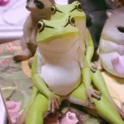 宇久の画像