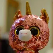 sjの画像