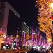 Fumikoの画像