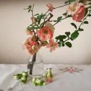 よしの画像