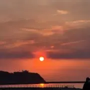 Haruの画像