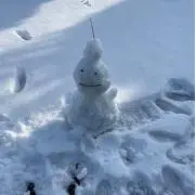 抹茶の画像