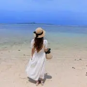 yの画像