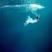 EXCEEDの画像
