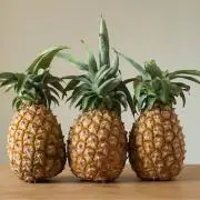 5103