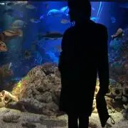 Haru