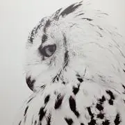 Tanatosの画像