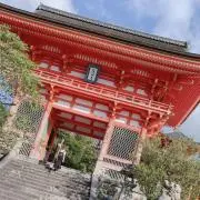 SAKIの画像