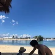 gmの画像