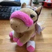 まりもっこりの画像
