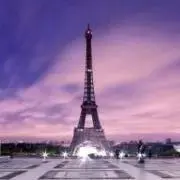 チェリーの画像