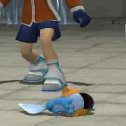 多様性の画像