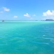 ゆんの画像