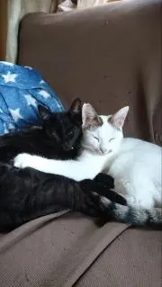 パんダのばぁば