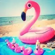 yuu.プロフ必読☻