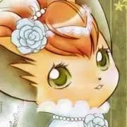 ふくたん@