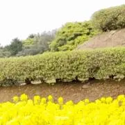 ☆リヴリリン☆の画像