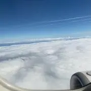 凛の画像