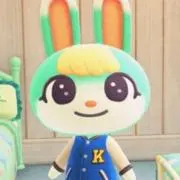 ぱぴこの画像