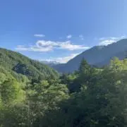mの画像