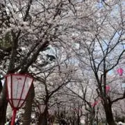 おテツの画像