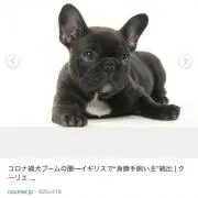 keikoの画像