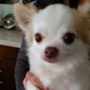 Image of LILI(#^.^#)