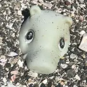 のーさんの画像