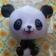なーちゃんの画像