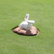 リリの画像