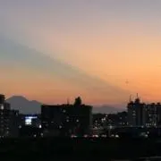 サキの画像