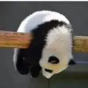ちゃまめ♪