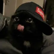ぬっこ!!