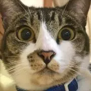 REIの画像