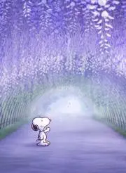 おちぇこの画像
