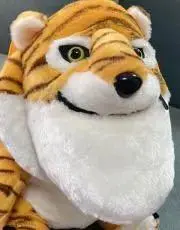 ⭐︎断捨離中⭐︎の画像