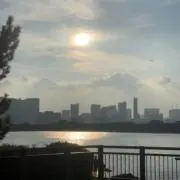 むたの画像