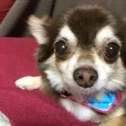 あつし